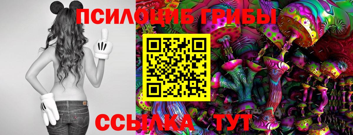 Галлюциногенные грибы Cubensis  Галлюциногенные грибы мухоморы  Вход с VPN  Долгопрудный 