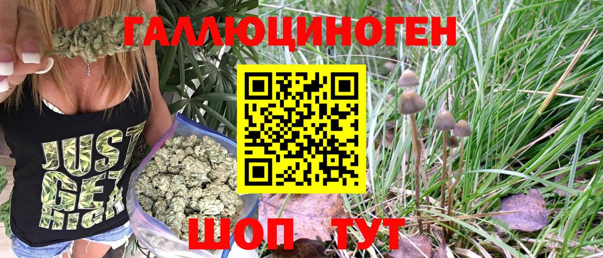 Псилоцибиновые грибы мицелий Долгопрудный